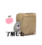 うさぎの円とポム（個別スタンプ：15）