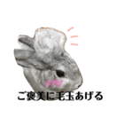 うさぎの円とポム（個別スタンプ：18）