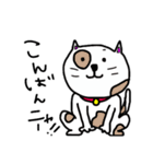 ネコっす！（個別スタンプ：5）