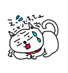 ネコっす！（個別スタンプ：8）