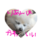りあんの日常4（個別スタンプ：1）