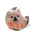 りあんの日常4（個別スタンプ：5）