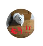 りあんの日常4（個別スタンプ：19）