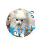 りあんの日常4（個別スタンプ：23）