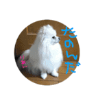 りあんの日常4（個別スタンプ：29）
