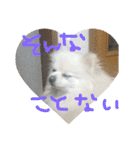 りあんの日常4（個別スタンプ：34）