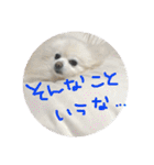 りあんの日常4（個別スタンプ：35）
