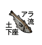 荒っぽいアラ（個別スタンプ：5）