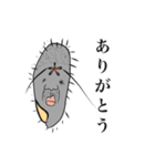 使える！ぞうりむしスタンプ（個別スタンプ：4）