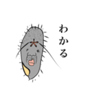 使える！ぞうりむしスタンプ（個別スタンプ：11）