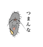 使える！ぞうりむしスタンプ（個別スタンプ：13）