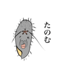 使える！ぞうりむしスタンプ（個別スタンプ：17）