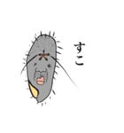 使える！ぞうりむしスタンプ（個別スタンプ：24）