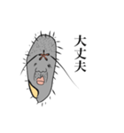 使える！ぞうりむしスタンプ（個別スタンプ：37）