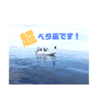 TKO FISHING part4（個別スタンプ：5）