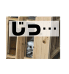 シベリアンハスキー ダルさん日常スタンプ（個別スタンプ：12）