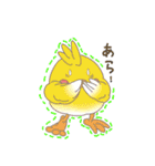 ころころインコロくん（個別スタンプ：16）