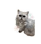 うちん家の猫  ＊カンナ・バニラ・ラムネ＊（個別スタンプ：14）