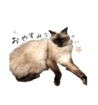 うちん家の猫  ＊カンナ・バニラ・ラムネ＊（個別スタンプ：16）