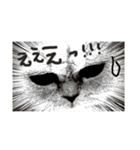 うちん家の猫  ＊カンナ・バニラ・ラムネ＊（個別スタンプ：21）