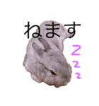 えるめスタンプ（個別スタンプ：1）