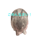 えるめスタンプ（個別スタンプ：7）