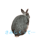 えるめスタンプ（個別スタンプ：8）