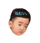 煌ちゃんスタンプ2（個別スタンプ：11）