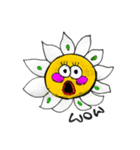 POP マーガレット（個別スタンプ：4）