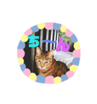 ちょん太のスタンプ（個別スタンプ：4）