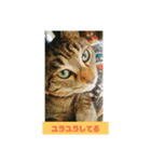 ちょん太のスタンプ（個別スタンプ：16）