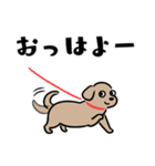 犬も猫も。（個別スタンプ：1）