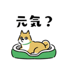 犬も猫も。（個別スタンプ：2）