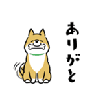 犬も猫も。（個別スタンプ：12）