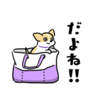 犬も猫も。（個別スタンプ：17）