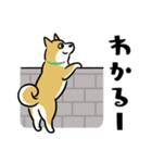 犬も猫も。（個別スタンプ：18）