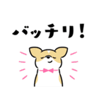 犬も猫も。（個別スタンプ：19）