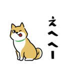 犬も猫も。（個別スタンプ：25）