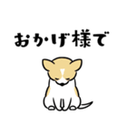 犬も猫も。（個別スタンプ：28）