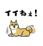 犬も猫も。（個別スタンプ：37）