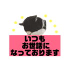 次元とkeiと時々くぅ③（個別スタンプ：2）