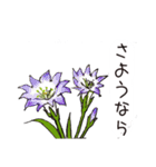 高山植物の花で癒してね（個別スタンプ：3）