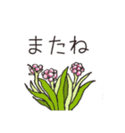 高山植物の花で癒してね（個別スタンプ：4）