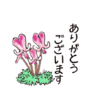 高山植物の花で癒してね（個別スタンプ：5）