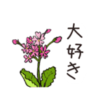 高山植物の花で癒してね（個別スタンプ：10）