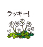 高山植物の花で癒してね（個別スタンプ：11）