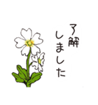 高山植物の花で癒してね（個別スタンプ：12）