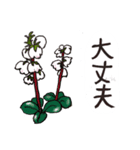 高山植物の花で癒してね（個別スタンプ：18）