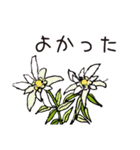 高山植物の花で癒してね（個別スタンプ：21）