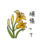 高山植物の花で癒してね（個別スタンプ：23）